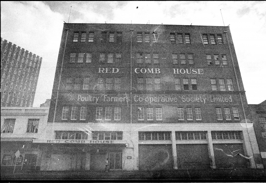 1983 One Flat George St Branch