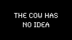 1983 One Flat George St Branch