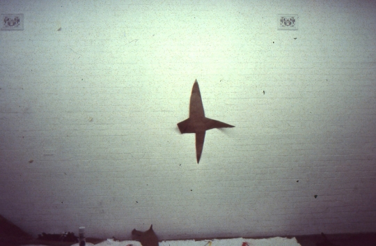 1984, One Flat George St Branch