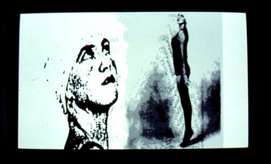 1988, InterFace Project, Map of the World - Revised Edition Database