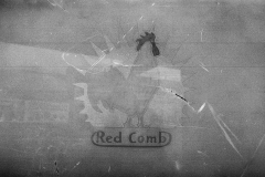1982 Red Comb House