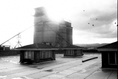 1982 Red Comb House