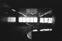 1982 Red Comb House