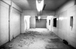 1982 Red Comb House